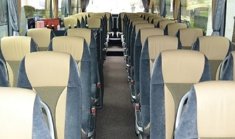 Italy: Coach operator in Tuscany in Tuscany and Carrara